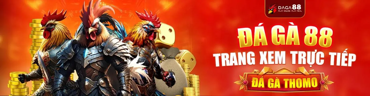 Đá gà trực tuyến trên dagac3 iOS, sàn đấu sôi động, cược kê hấp dẫn